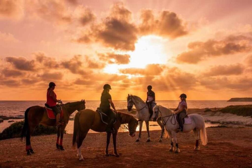 georges ranch 1 horse riding in pafos main